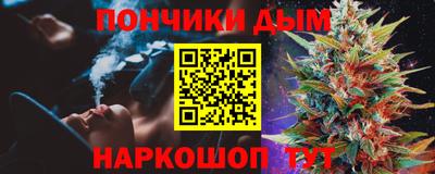 гидра Моздок