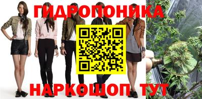 гидра Моздок
