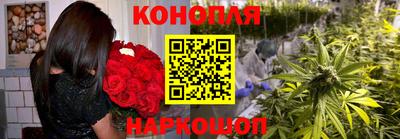 гидра Моздок