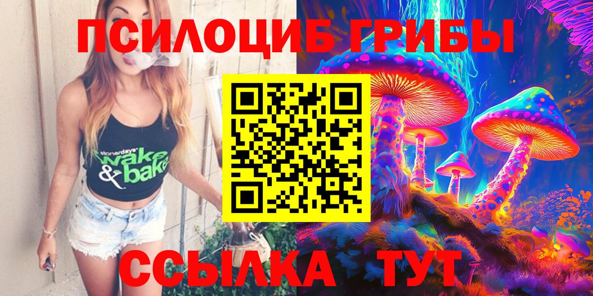 Галлюциногенные грибы прущие грибы  Вход с VPN  Гурьевск 